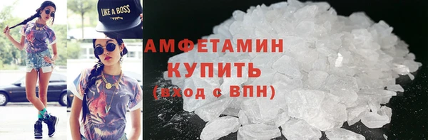 шишки Белокуриха