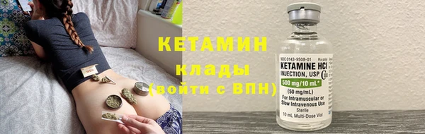 шишки Белокуриха
