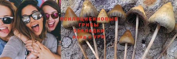 spice Балабаново