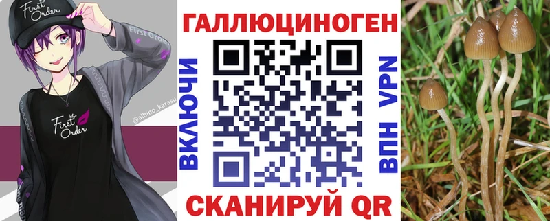 магазин продажи наркотиков  MEGA ТОР  Галлюциногенные грибы мицелий  сайты даркнета Telegram  Ершов 